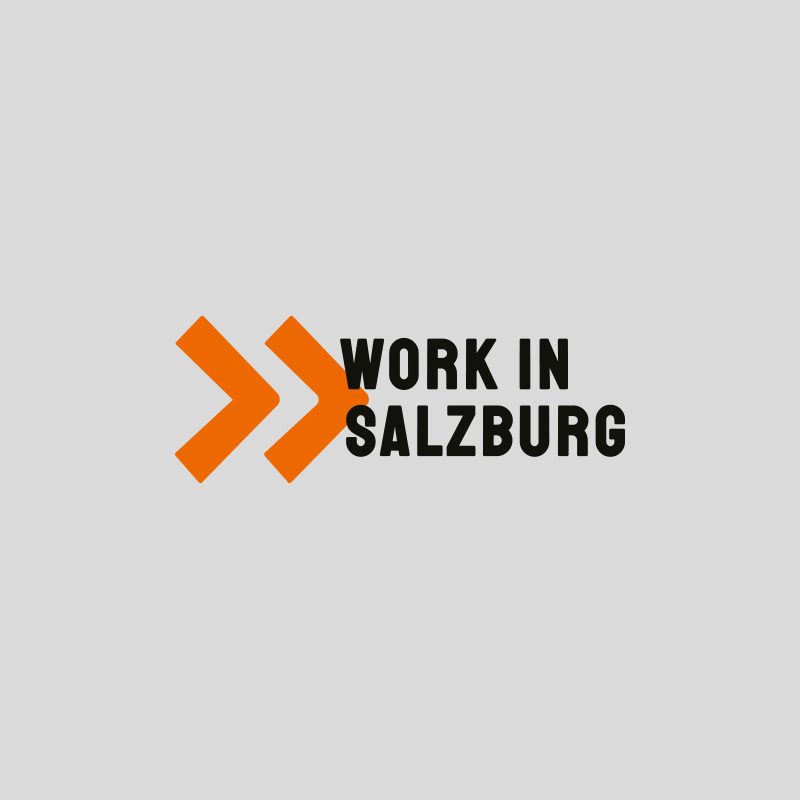 team-work-in-salzburg-logo